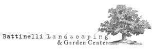 Battinelli Enterprises  logo