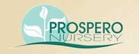 Prospero Nursery logo